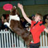 Disc Dogs