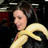 Edmonton Reptile & Amphibian Society