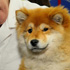 Edmonton Pet Expo