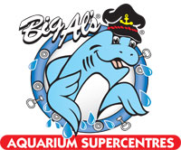 Big Al's