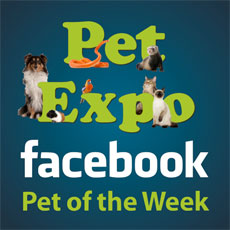 Pet of the Week
